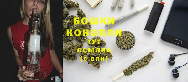 трава Новодвинск