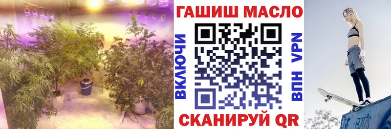 Купить закладки  Солигалич  Дистиллят ТГК концентрат 