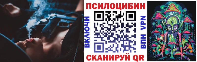Галлюциногенные грибы Psilocybine cubensis Купить Солигалич